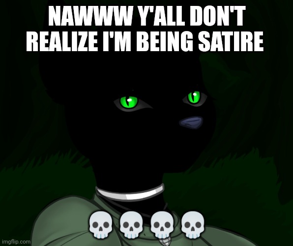 My new panther fursona | NAWWW Y'ALL DON'T REALIZE I'M BEING SATIRE; 💀💀💀💀 | image tagged in my new panther fursona | made w/ Imgflip meme maker