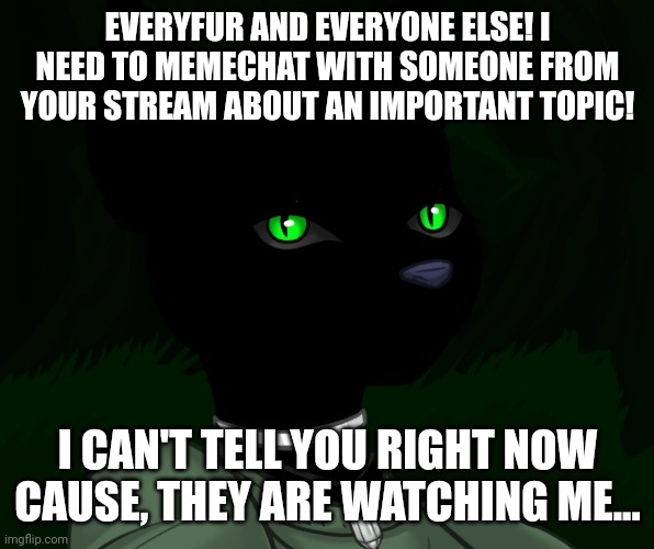 My new panther fursona | EVERYFUR AND EVERYONE ELSE! I NEED TO MEMECHAT WITH SOMEONE FROM YOUR STREAM ABOUT AN IMPORTANT TOPIC! I CAN'T TELL YOU RIGHT NOW CAUSE, THEY ARE WATCHING ME... | image tagged in my new panther fursona | made w/ Imgflip meme maker