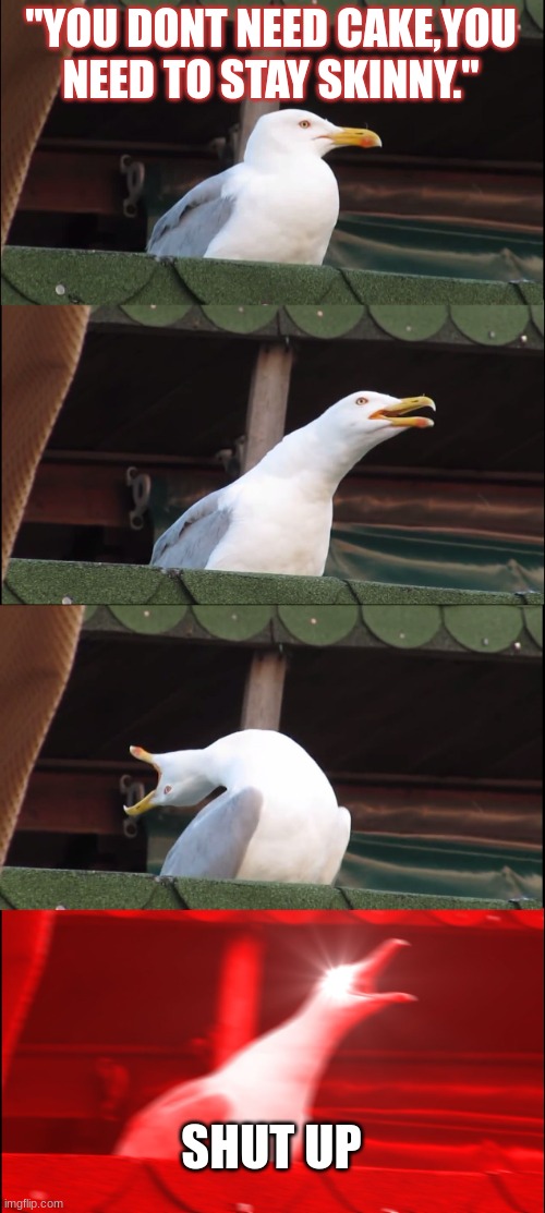 facts | "YOU DONT NEED CAKE,YOU NEED TO STAY SKINNY."; SHUT UP | image tagged in memes,inhaling seagull | made w/ Imgflip meme maker