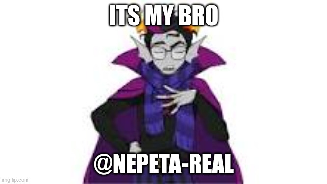 no. | ITS MY BRO; @NEPETA-REAL | image tagged in homestuck,eridan | made w/ Imgflip meme maker