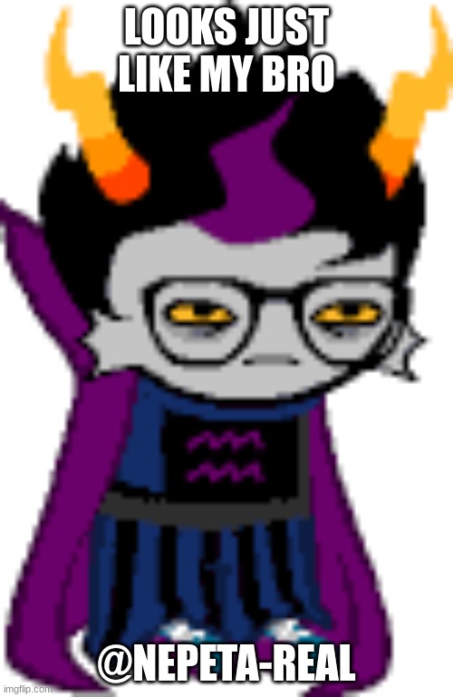 this doesnt look like me :(((( | LOOKS JUST LIKE MY BRO; @NEPETA-REAL | image tagged in homestuck | made w/ Imgflip meme maker