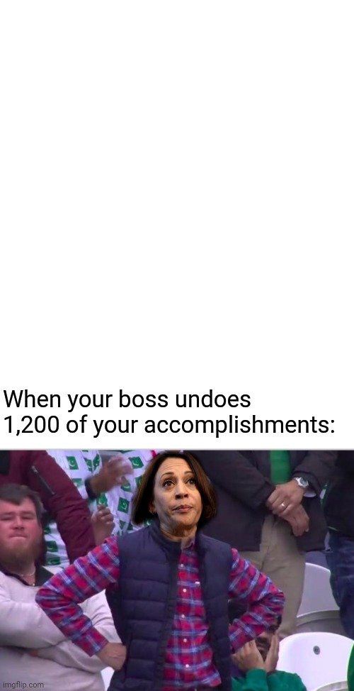 When your boss undoes 1,200 of your accomplishments: | image tagged in blank white template,dissatisfied kamala harris | made w/ Imgflip meme maker