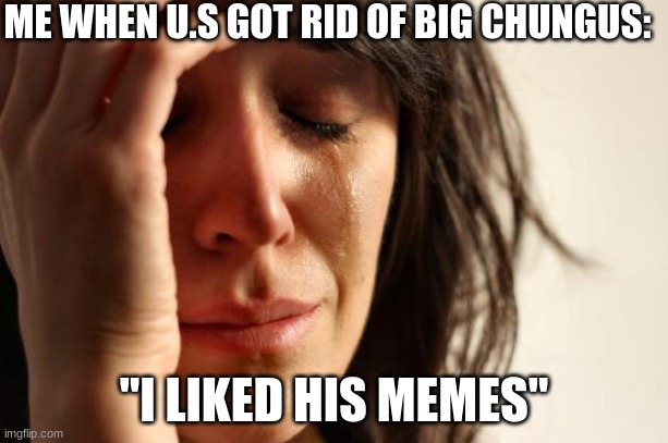 First World Problems | ME WHEN U.S GOT RID OF BIG CHUNGUS:; "I LIKED HIS MEMES" | image tagged in memes,first world problems | made w/ Imgflip meme maker