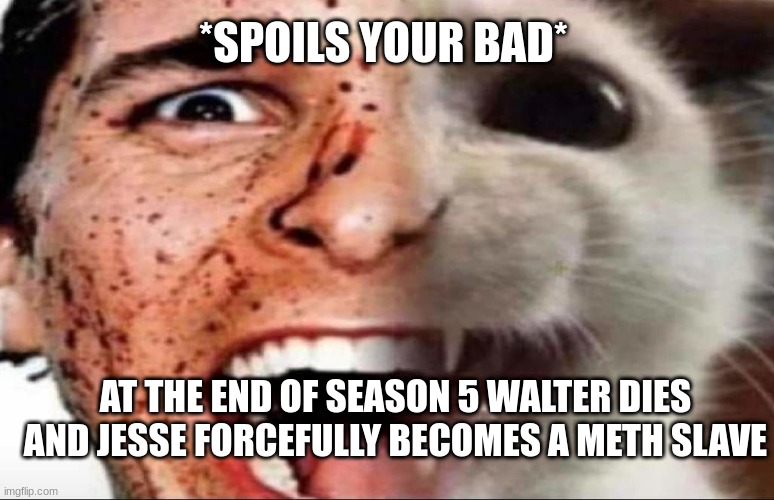 american psycho cat | *SPOILS YOUR BAD*; AT THE END OF SEASON 5 WALTER DIES AND JESSE FORCEFULLY BECOMES A METH SLAVE | image tagged in american psycho cat | made w/ Imgflip meme maker
