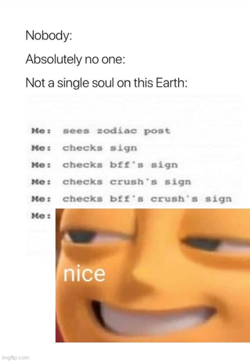 zodiac scenarios when im bored be like: | image tagged in nobody absolutely no one,bee movie,zodiac,zodiac signs,nice,funny | made w/ Imgflip meme maker