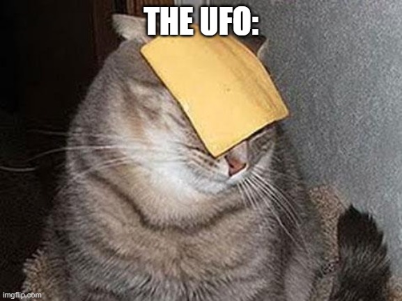 Cats with cheese | THE UFO: | image tagged in cats with cheese | made w/ Imgflip meme maker