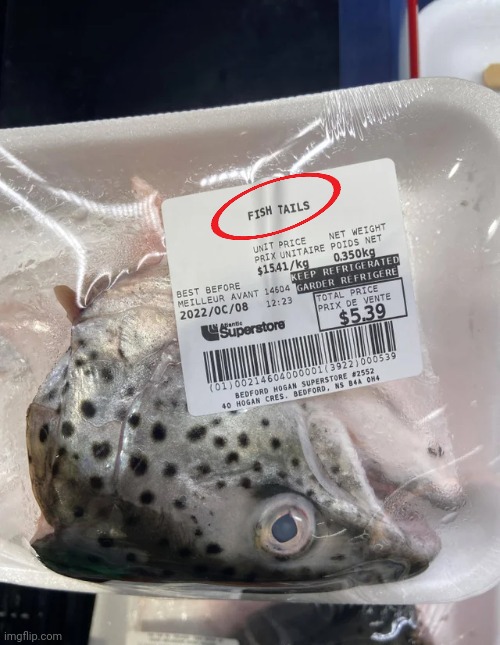 why fishheads are fishtales | image tagged in you had one job,fish | made w/ Imgflip meme maker