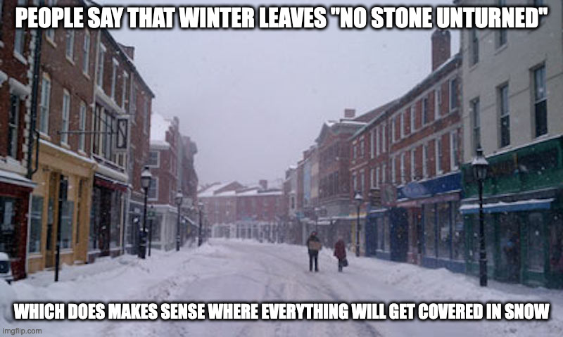 Snowy Downtown |  PEOPLE SAY THAT WINTER LEAVES "NO STONE UNTURNED"; WHICH DOES MAKES SENSE WHERE EVERYTHING WILL GET COVERED IN SNOW | image tagged in winter,memes | made w/ Imgflip meme maker