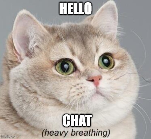Heavy Breathing Cat | HELLO; CHAT | image tagged in memes,heavy breathing cat | made w/ Imgflip meme maker