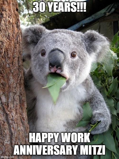 30 year work anniversary | 30 YEARS!!! HAPPY WORK ANNIVERSARY MITZI | image tagged in memes,surprised koala | made w/ Imgflip meme maker