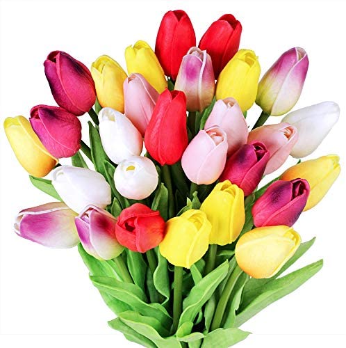 Tulips Blank Meme Template