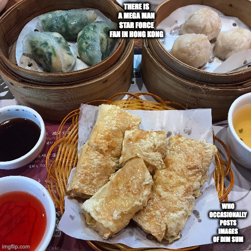 Dim Sum | THERE IS A MEGA MAN STAR FORCE FAN IN HONG KONG; WHO OCCASIONALLY POSTS IMAGES OF DIM SUM | image tagged in food,memes | made w/ Imgflip meme maker