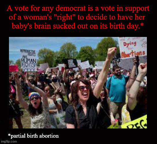 A woman's right to kill her baby .... | A vote for any democrat is a vote in support
of a woman's "right" to decide to have her 
baby's brain sucked out on its birth day.*; *partial birth abortion | image tagged in partial birth abortion,abortion rights | made w/ Imgflip meme maker