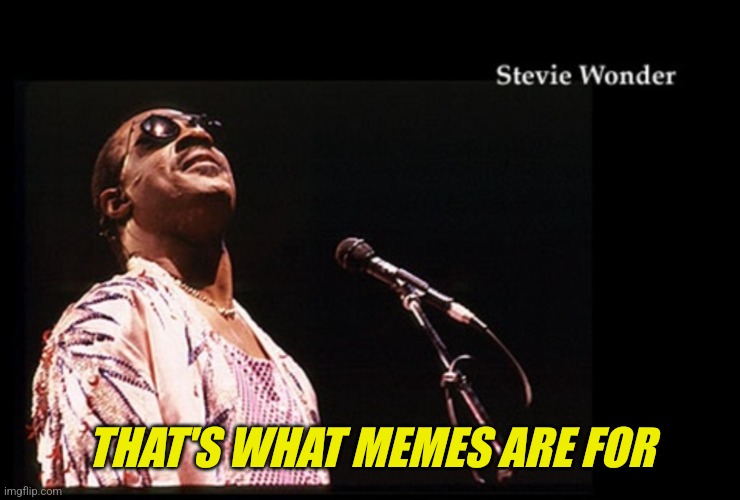 That's what memes are for | THAT'S WHAT MEMES ARE FOR | image tagged in memes,funny memes | made w/ Imgflip meme maker