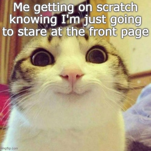 Scratch Meme 2 | Me getting on scratch knowing I'm just going to stare at the front page | image tagged in memes,smiling cat | made w/ Imgflip meme maker