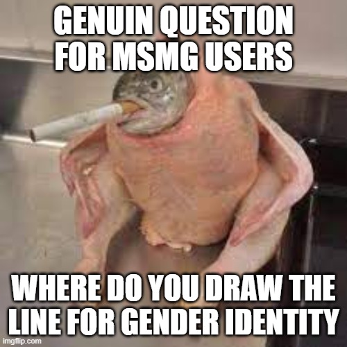 felt like starting a war so here we go | GENUIN QUESTION FOR MSMG USERS; WHERE DO YOU DRAW THE LINE FOR GENDER IDENTITY | made w/ Imgflip meme maker