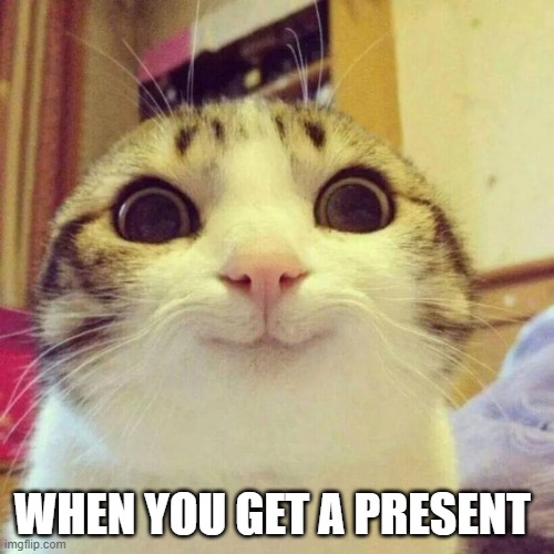 cat | WHEN YOU GET A PRESENT | image tagged in memes,smiling cat | made w/ Imgflip meme maker