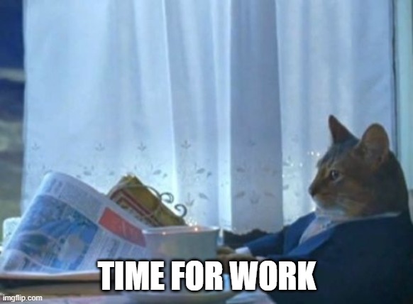 cat | TIME FOR WORK | image tagged in memes,i should buy a boat cat | made w/ Imgflip meme maker