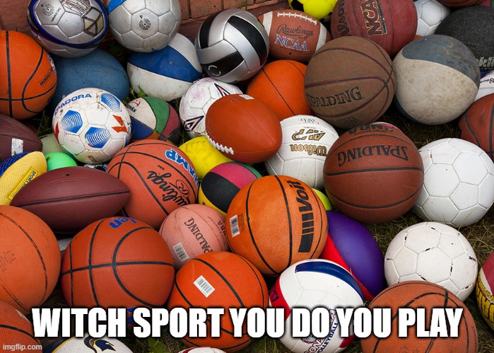 sports | WITCH SPORT YOU DO YOU PLAY | image tagged in sports balls | made w/ Imgflip meme maker