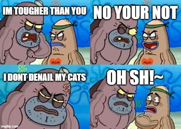 How Tough Are You Meme | NO YOUR NOT; IM TOUGHER THAN YOU; I DONT DENAIL MY CATS; OH SH!~ | image tagged in memes,how tough are you | made w/ Imgflip meme maker