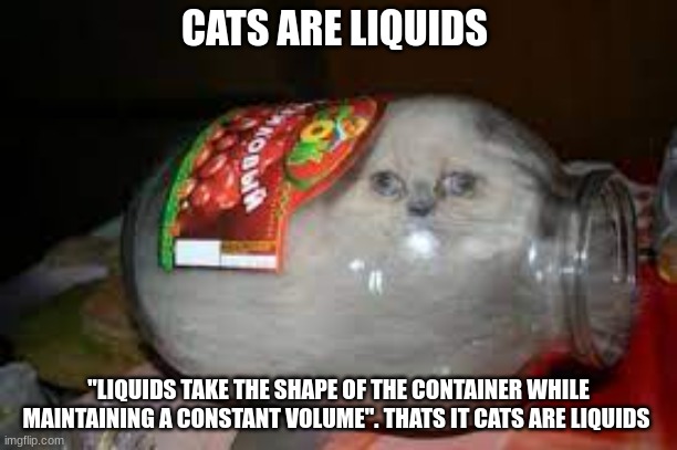 CATS ARE LIQUIDS; "LIQUIDS TAKE THE SHAPE OF THE CONTAINER WHILE MAINTAINING A CONSTANT VOLUME". THATS IT CATS ARE LIQUIDS | image tagged in funny cats | made w/ Imgflip meme maker