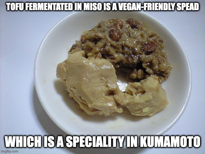 Miso-Fermented Tofu | TOFU FERMENTATED IN MISO IS A VEGAN-FRIENDLY SPEAD; WHICH IS A SPECIALITY IN KUMAMOTO | image tagged in food,memes | made w/ Imgflip meme maker