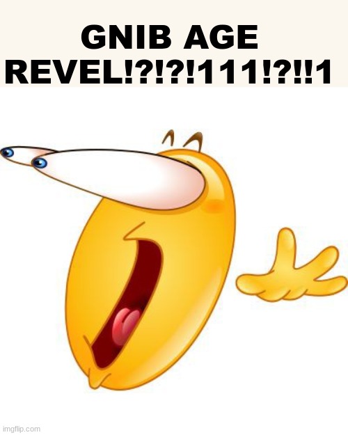 Surprised face emoji | GNIB AGE REVEL!?!?!111!?!!1 | image tagged in surprised face emoji | made w/ Imgflip meme maker