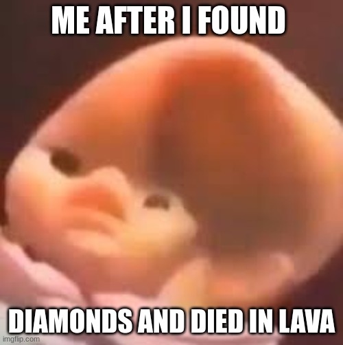 Baby Head | ME AFTER I FOUND; DIAMONDS AND DIED IN LAVA | image tagged in baby head | made w/ Imgflip meme maker