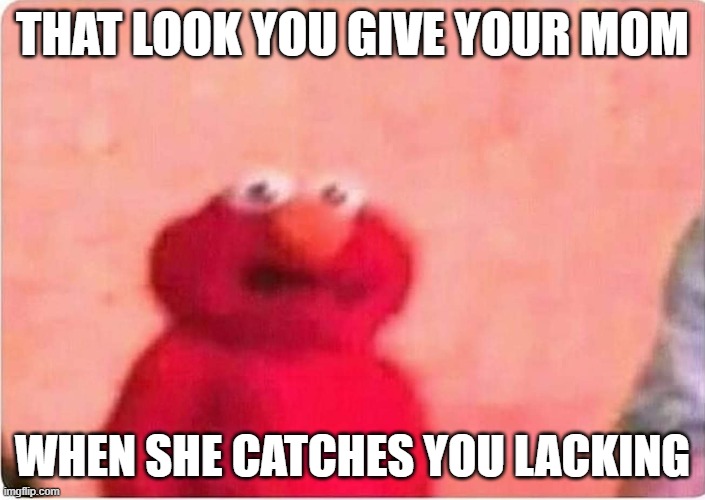 Sickened elmo | THAT LOOK YOU GIVE YOUR MOM; WHEN SHE CATCHES YOU LACKING | image tagged in sickened elmo,mom,lacking,red handed | made w/ Imgflip meme maker