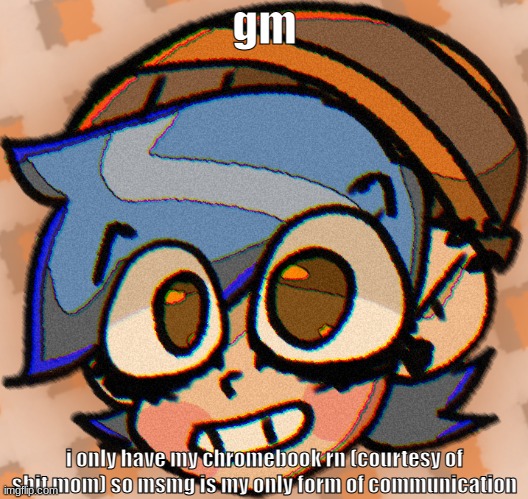 cooper’s Not A Picrew | gm; i only have my chromebook rn (courtesy of shit mom) so msmg is my only form of communication | made w/ Imgflip meme maker