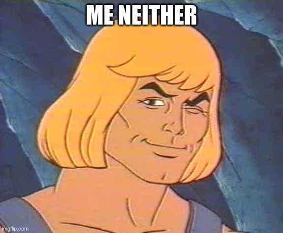 He-Man Wink | ME NEITHER | image tagged in he-man wink | made w/ Imgflip meme maker