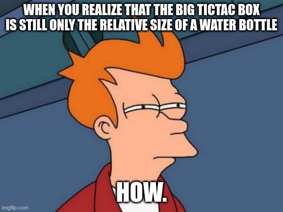 Wha- ho- I'm done | WHEN YOU REALIZE THAT THE BIG TICTAC BOX IS STILL ONLY THE RELATIVE SIZE OF A WATER BOTTLE HOW. | image tagged in memes,futurama fry | made w/ Imgflip meme maker