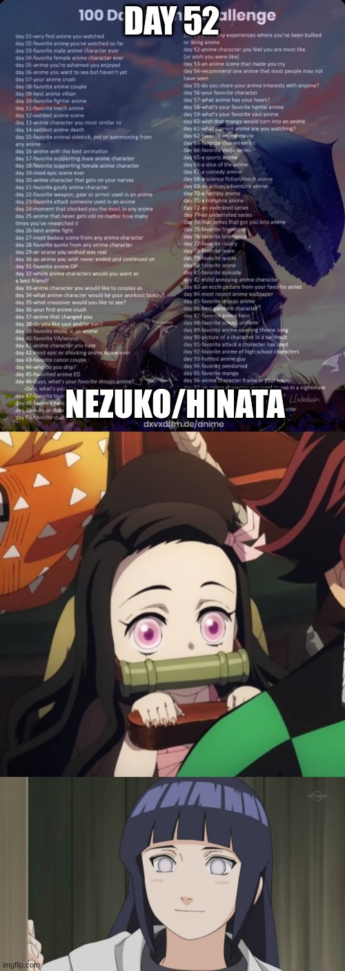 DAY 52; NEZUKO/HINATA | image tagged in 100 day anime challenge | made w/ Imgflip meme maker