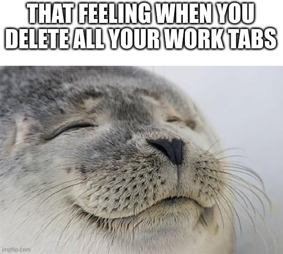 Yesssssssssssss | THAT FEELING WHEN YOU DELETE ALL YOUR WORK TABS | image tagged in memes,satisfied seal,work,good times | made w/ Imgflip meme maker