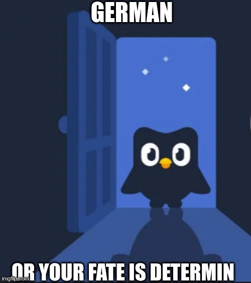 GERMAN OR YOU FATE IS DETERMINED | GERMAN; OR YOUR FATE IS DETERMIN | image tagged in duolingo bird | made w/ Imgflip meme maker
