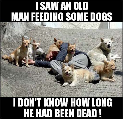 Dogs Dinner Time ! | I SAW AN OLD MAN FEEDING SOME DOGS; I DON'T KNOW HOW LONG
HE HAD BEEN DEAD ! | image tagged in dogs,feeding,dead,dark humour | made w/ Imgflip meme maker