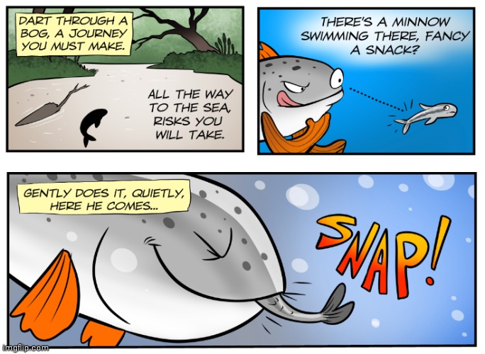 Fish snack | image tagged in fish,fishes,snack,comics,comic,comics/cartoons | made w/ Imgflip meme maker