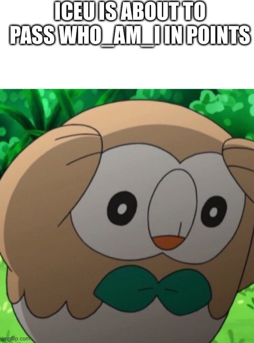 It’s actually about to happen | ICEU IS ABOUT TO PASS WHO_AM_I IN POINTS | image tagged in rowlet meme template,iceu,who am i,imgflip points | made w/ Imgflip meme maker