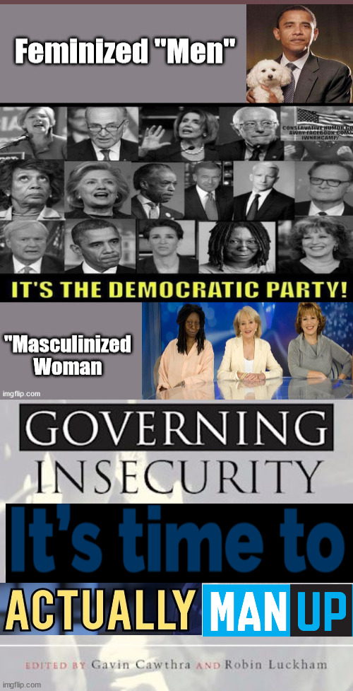 The Insecure Democrat Party | image tagged in passive agressive,leading from behind,beta males,evil,biden | made w/ Imgflip meme maker