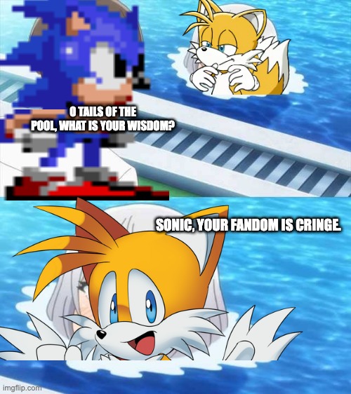 Tails in the swimming pool meets Sonic | O TAILS OF THE POOL, WHAT IS YOUR WISDOM? SONIC, YOUR FANDOM IS CRINGE. | image tagged in senpai of the pool | made w/ Imgflip meme maker