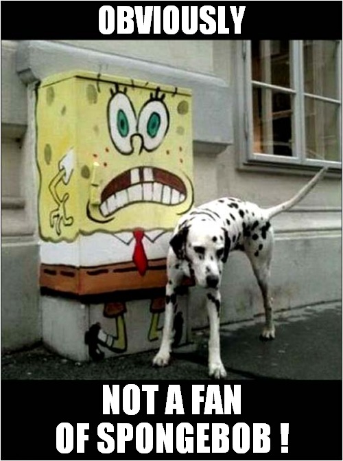 A Dalmatians' Disdain ! | OBVIOUSLY; NOT A FAN OF SPONGEBOB ! | image tagged in dogs,dalmation,spongebob | made w/ Imgflip meme maker