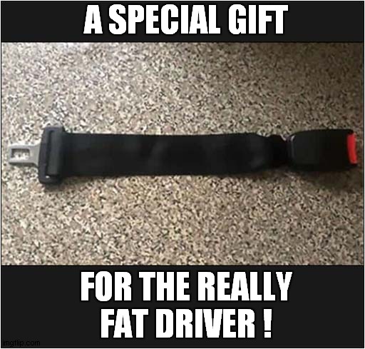 It's The Thought That Counts ! | A SPECIAL GIFT; FOR THE REALLY FAT DRIVER ! | image tagged in gift,seat belt,extension,obesity | made w/ Imgflip meme maker