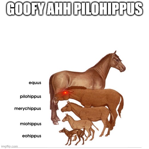 soo Goofy | GOOFY AHH PILOHIPPUS | image tagged in horse,memes,lol so funny | made w/ Imgflip meme maker