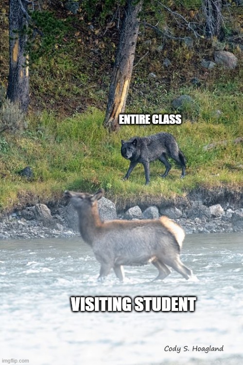 ABOUT RIGHT | ENTIRE CLASS; VISITING STUDENT | image tagged in jiu jitsu | made w/ Imgflip meme maker
