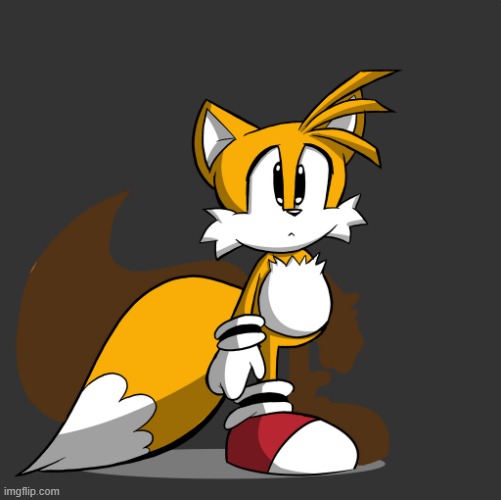 image tagged in tails stare 1 | made w/ Imgflip meme maker