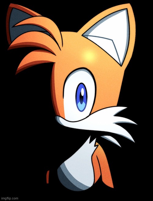 image tagged in tails stare 2 | made w/ Imgflip meme maker