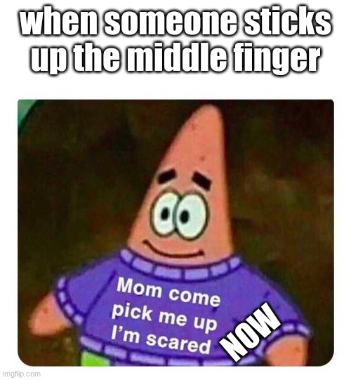 bruh | when someone sticks up the middle finger; NOW | image tagged in patrick mom come pick me up i'm scared | made w/ Imgflip meme maker