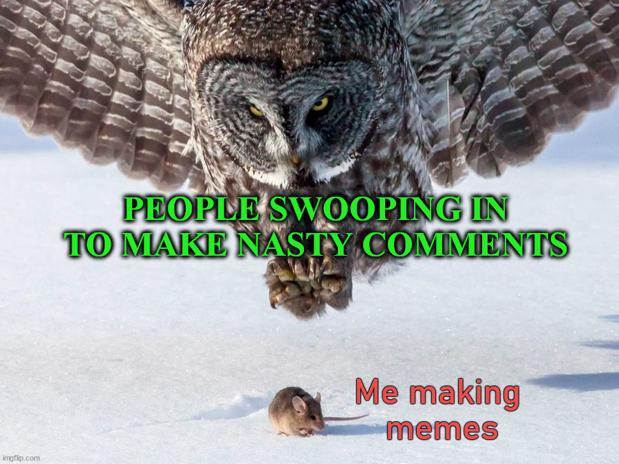 PEOPLE SWOOPING IN TO MAKE NASTY COMMENTS; Me making 
memes | image tagged in who_am_i | made w/ Imgflip meme maker