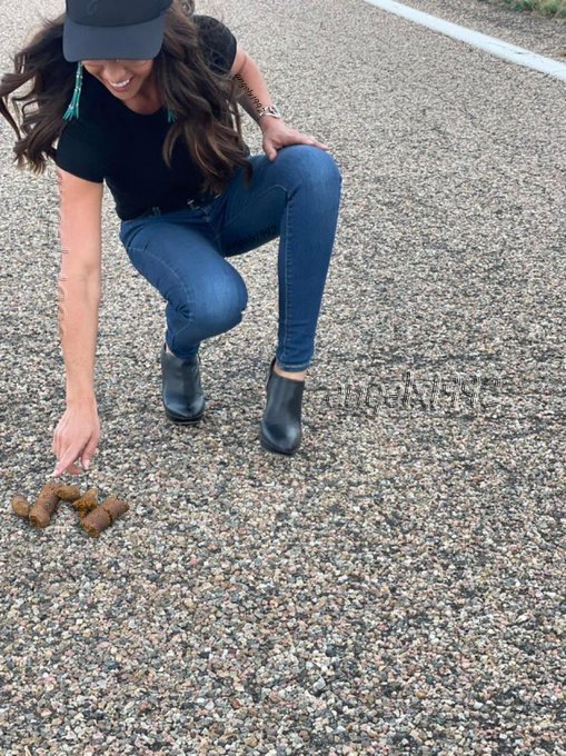 lauren boebert Blank Meme Template