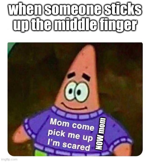 bruh | when someone sticks up the middle finger; NOW mom | image tagged in patrick mom come pick me up i'm scared | made w/ Imgflip meme maker